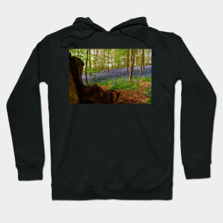 Bluebell Woods Greys Court Oxfordshire UK Hoodie